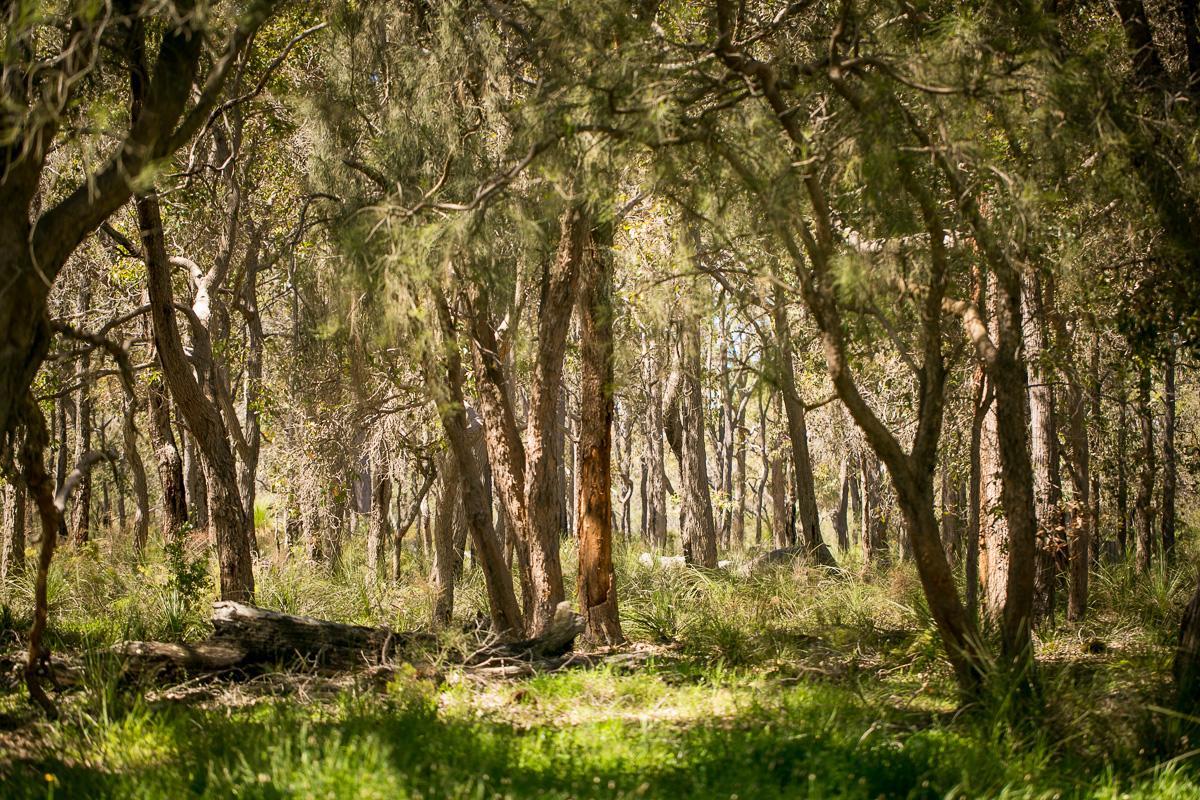 Wyadup Brook Cottages Yallingup Extérieur photo